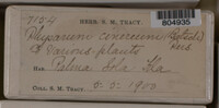 Image Associated With the Occurence